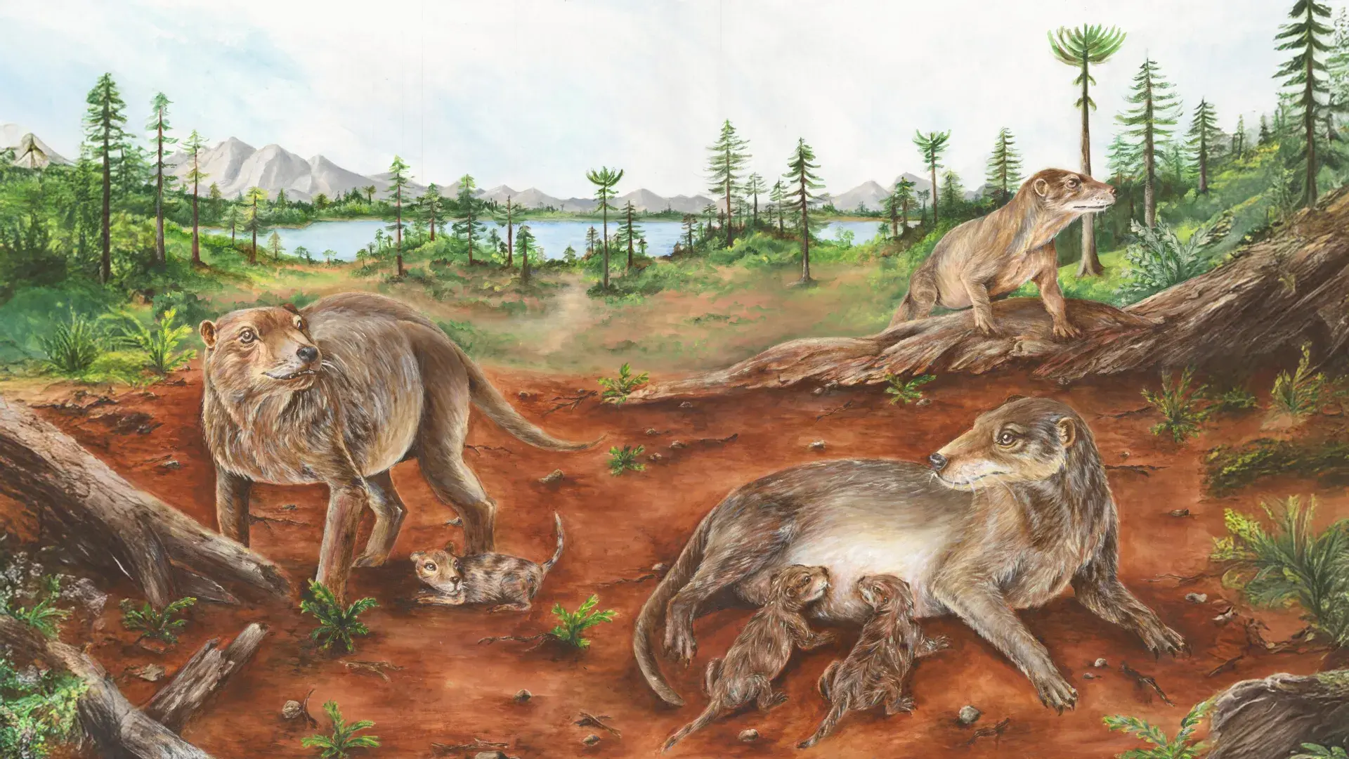 A 236-million-year-old fossil could rewrite the story of mammalian birth