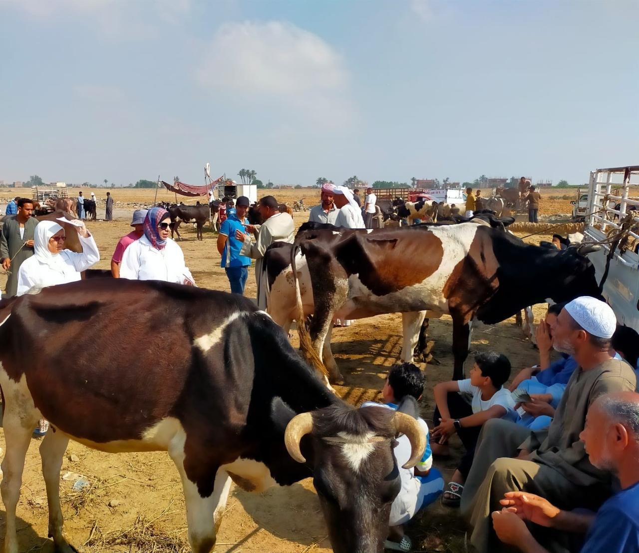 الزراعة تكثف الترصد الوبائي لحماية الثروة الحيوانية واكتشاف أي بؤر مرضية مبكرا