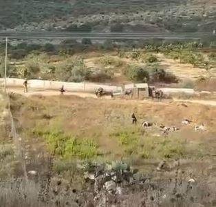 فلسطين: مجزرة قرية تل صورة متجددة للنكبة وسياسة ممنهجة تعكس تكامل أدوار إسرائيل ومستوطنيها