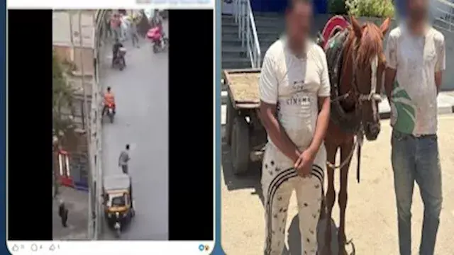 كشف ملابسات فيديو عربة كارو تسير عكس الاتجاه بالقاهرة وضبط المتهمين