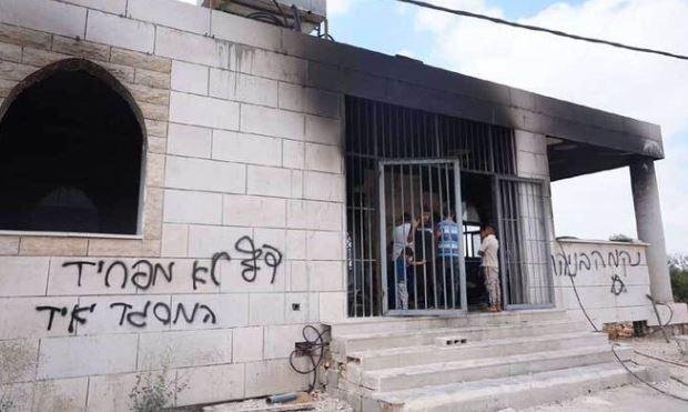 الضفة.. مستوطنون إسرائيليون يتلفون ممتلكات فلسطينية
