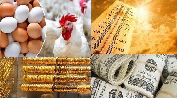 أخبار التوك شو | أسعار الدواجن والبيض والكتب المدرسية.. مفاجأة في الذهب والدولار وحالة الطقس