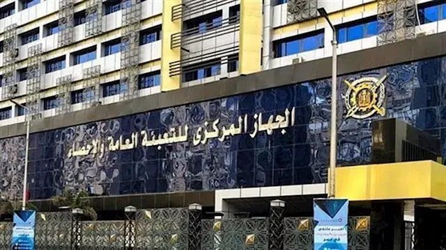 الإحصاء: 123 مليون دولار حجم التجارة بين مصر ومدغشقر في 2025 رغم تراجع الصادرات 17%