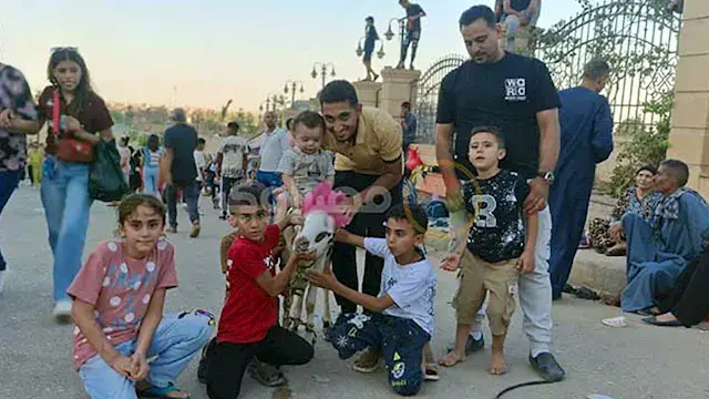 خراف مزينة بالورود ونذور وفاء.. مشاهد مميزة من احتفالات دير درنكة بأسيوط -صور