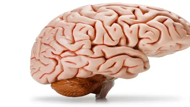 عادة يومية تدمر التركيز دون أن تنتبه