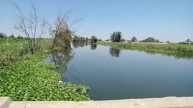 لجنة فنية ترصد أسباب ارتفاع منسوب مياه المصارف في كفر الشيخ- صور