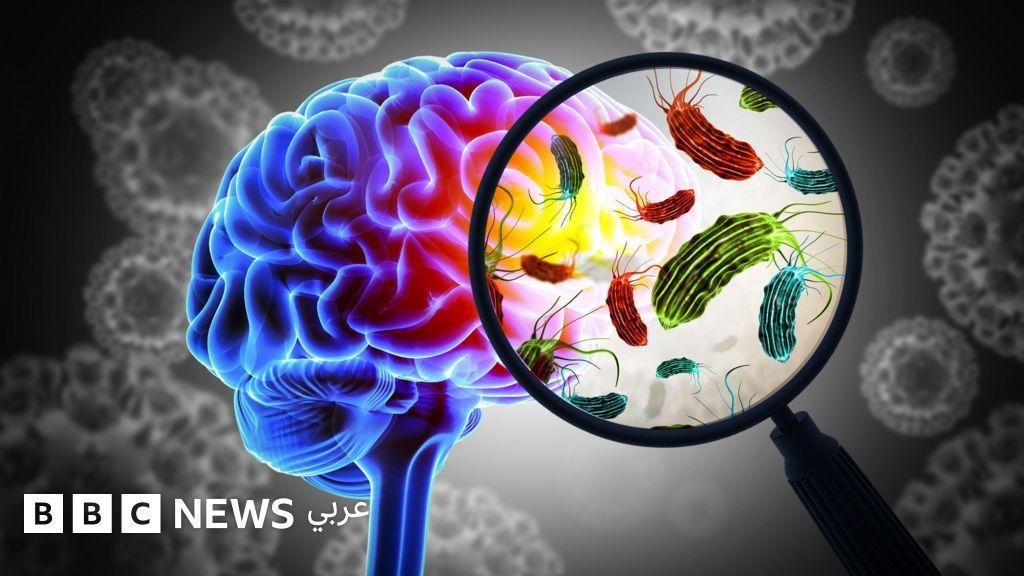 "كأنه فيلم رعب": الأميبا الآكلة للدماغ التي قد تنتشر حول العالم