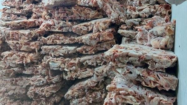ضبط 42 طنًا من اللحوم والدواجن ومخلفات الفراخ الفاسدة في الجيزة