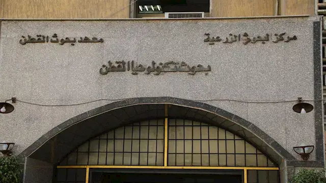 ابتكار مصري جديد.. باحثو معهد القطن يعيدون تدوير المخلفات لإنتاج خيوط ملونة دون صباغة