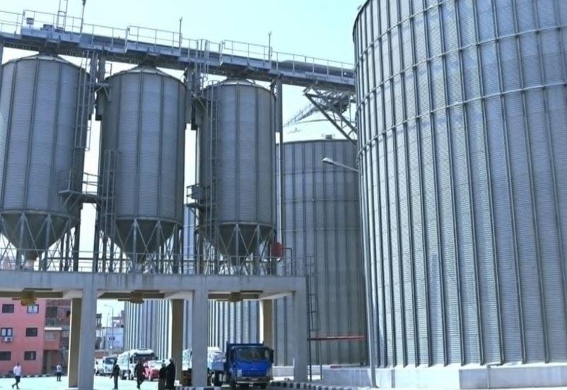 الحكومة تتسلم 5 ملايين طن قمح محلي بنهاية موسم التوريد