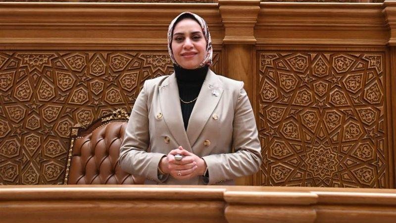 سؤال برلماني بشأن تنظيم قواعد موحدة للرؤية والاستضافة في منازعات الأسرة بعد تكرار أزمات التنفيذ