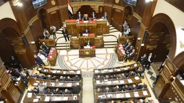 مقترح برلماني بتغيير "ربة منزل" إلى "صانعة جيل" في الأوراق الرسمية