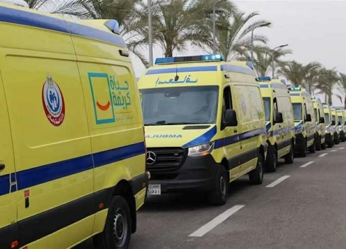 مصرع شخص وإصابة 3 آخرين في تصادم سيارتين بطريق بحيرة قارون السياحي بالفيوم