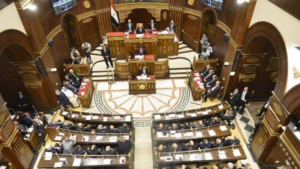 برلماني: الدولة تتحرك وفق رؤية متكاملة لتوفير السلع وضمان جودتها وتكوين مخزون آمن