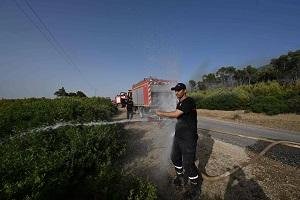 الحرائق التهمت أكثر من 12 ألف هكتار خلال الفترة الصيفية في تونس