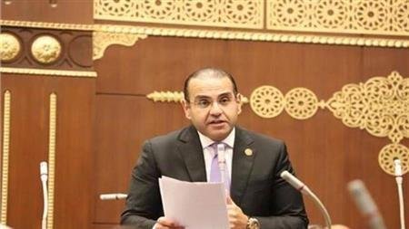 برلماني: القطاع الخاص قاطرة التنمية.. وتوجيهات الرئيس السيسي ترسم ملامح اقتصاد أكثر تنافسية واستدامة