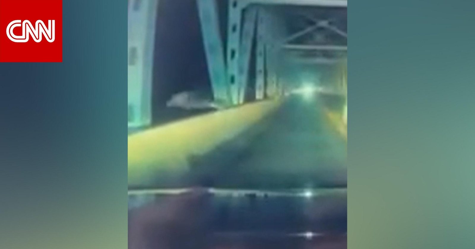 شاهد.. رجل يقفز من فوق جسر في محاولة يائسة للهرب من الشرطة