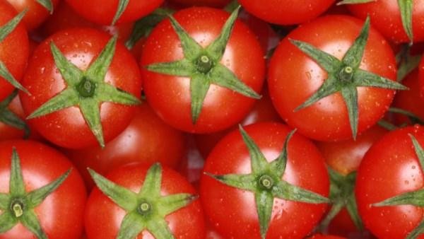 ماذا يحدث لجسمك عند تناول الطماطم يوميًا؟.. دراسة تكشف علاقتها بمرضى الكبد الدهني