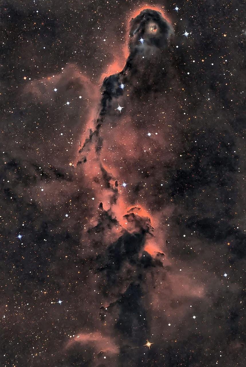APOD: 2026 August 20 – The Elephant’s Trunk in Cepheus