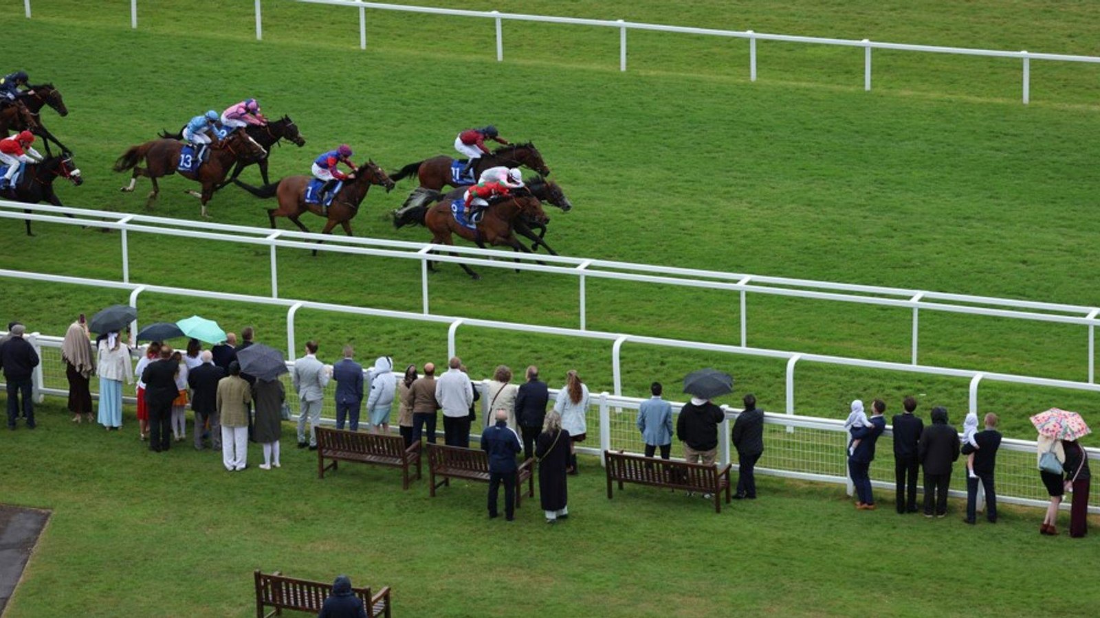 Today on Sky Sports Racing: Victory Gold and Waasil clash at Newbury