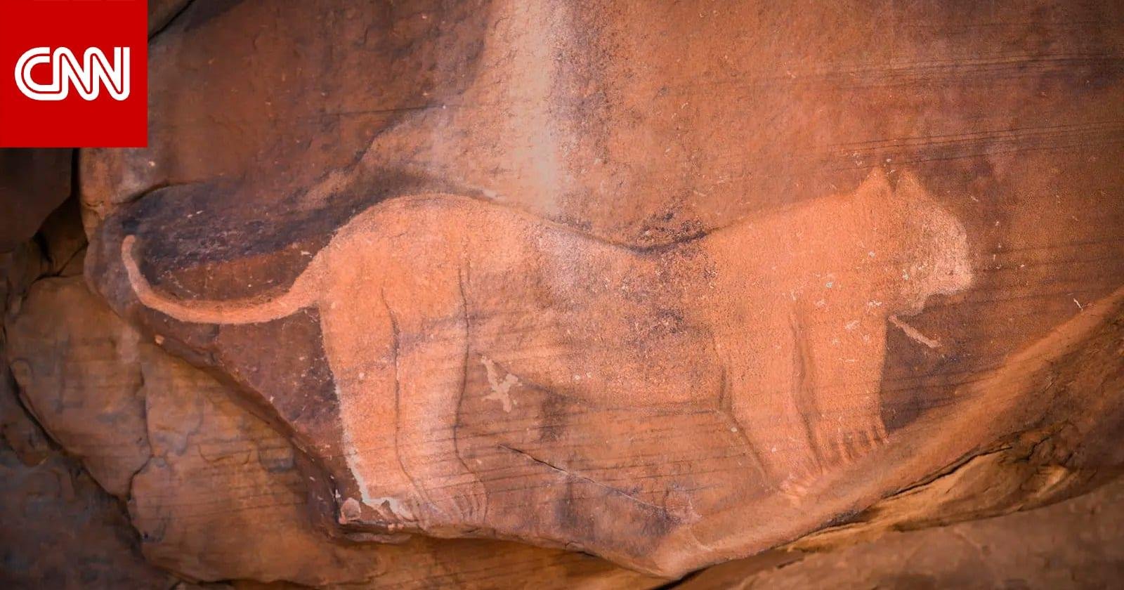 هل يجوب ملك الغابة السعودية مجددًا؟ المملكة تعلن خطة لإعادة توطين هذا المفترس