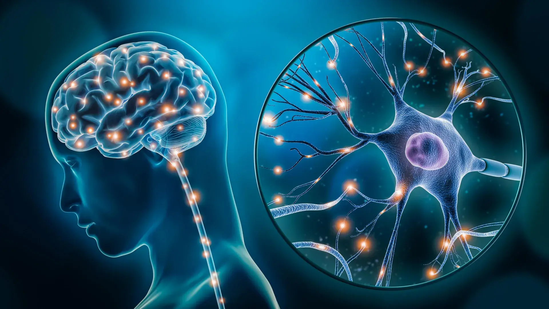 Ozempic does something unexpected to the brain’s hunger neurons