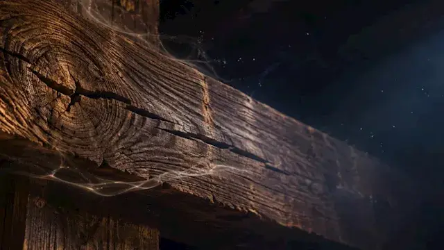 لماذا يصدر الخشب أصواتا غامضة في الليل؟