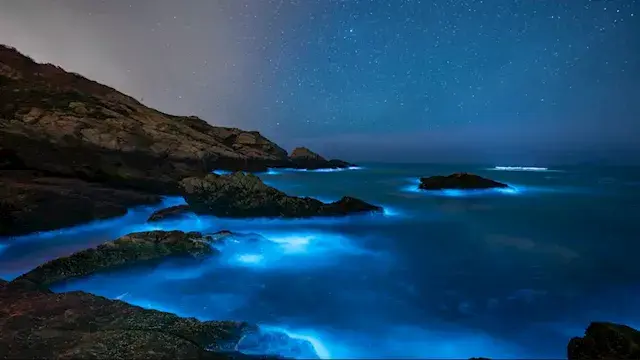 7 شواطئ مبهرة حول العالم.. أماكن تخطف الأنظار