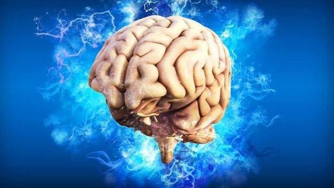 دراسة: المشكلات المادية تجعل المخ يشيخ قبل الآوان