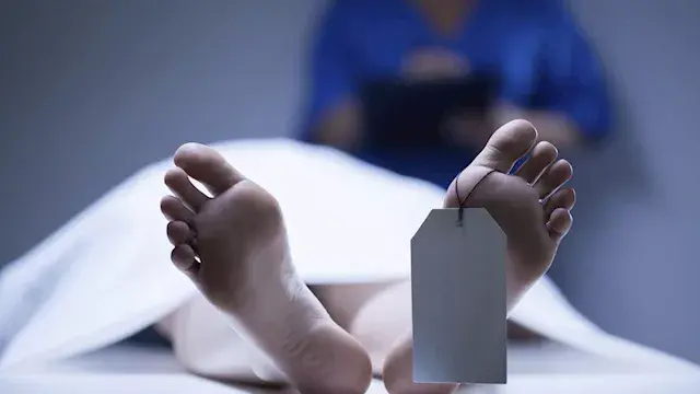 خلاف مالي انتهى بجثة في الشقة.. كواليس مقتل شاب على يد صديقه في السلام