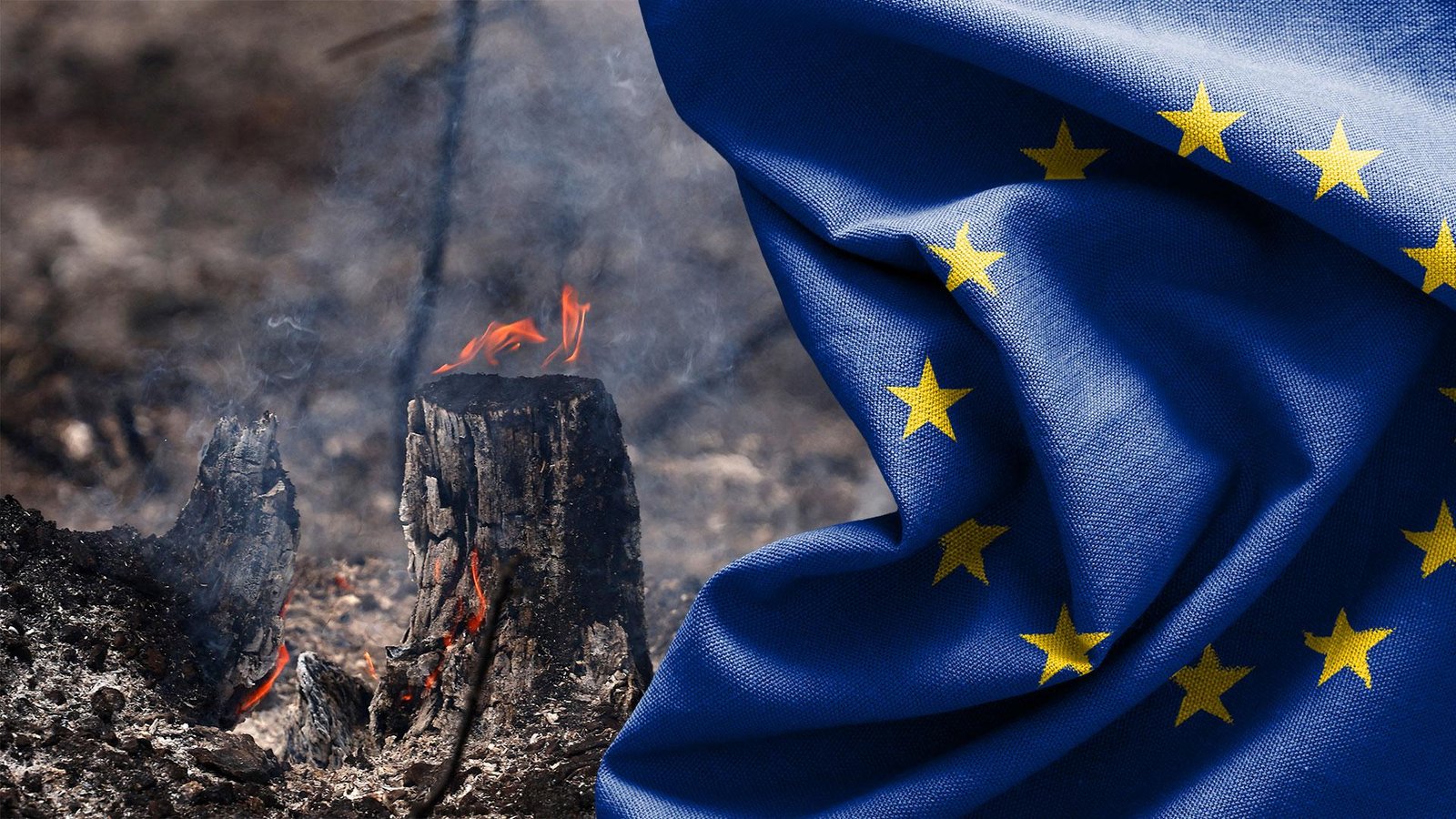 Heatwaves and energy crunch: Can Europe withstand a double shock?