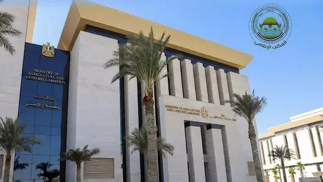 لدعم صغار المربين.. الزراعة تكثف الرعاية التناسلية والتلقيح الاصطناعي للماشية