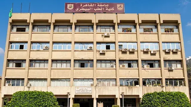تنسيق المرحلة الثانية.. مؤشرات القبول بكليات الطب البيطري