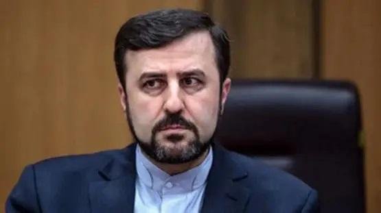 نائب وزير الخارجية الإيراني: الدول التي تسلم مصيرها للأجانب ستدفع ثمنا باهظا