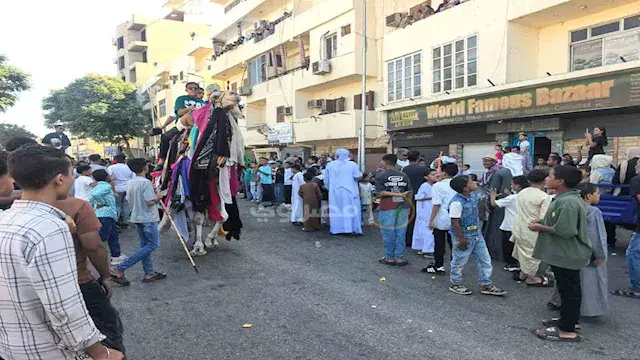 بالجمال والعصي.. الآلاف يحتفلون بالمولد النبوي في شوارع الأقصر- فيديو وصور