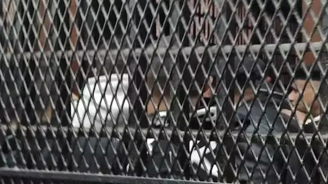 ضربوه بالشوم بسبب فسخ خطوبة.. تجديد حبس المتهمين بإنهاء حياة شاب في بهتيم