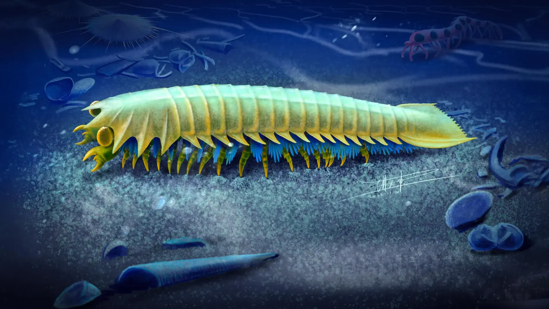 518-million-year-old creature reveals the origins of spider fangs