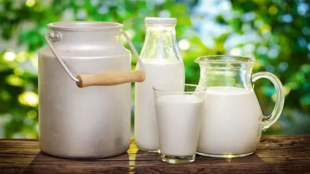 قبل إختراع الثلاجات.. تعرّف على سر وضع ضفدع في إناء الحليب.