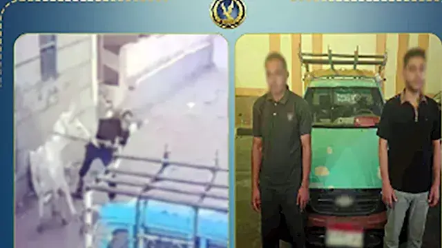 الداخلية تكشف حقيقة فيديو البلطجة وترويج المخدرات في الدقهلية