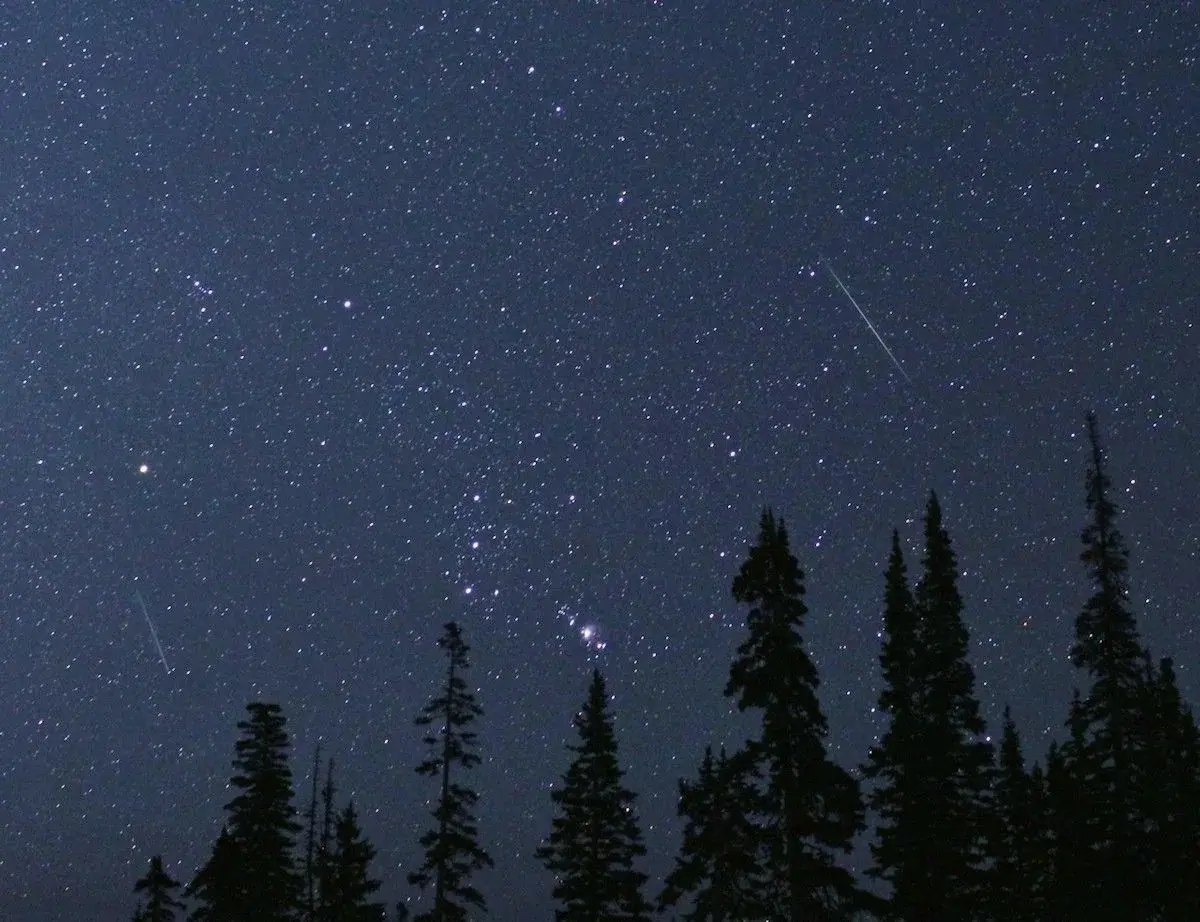 Perseids Meteor Shower
