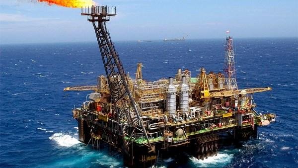 برلمانية: تفضيل المنتج المصري «قاطرة» لتعميق التصنيع وبناء سلاسل توريد وطنية