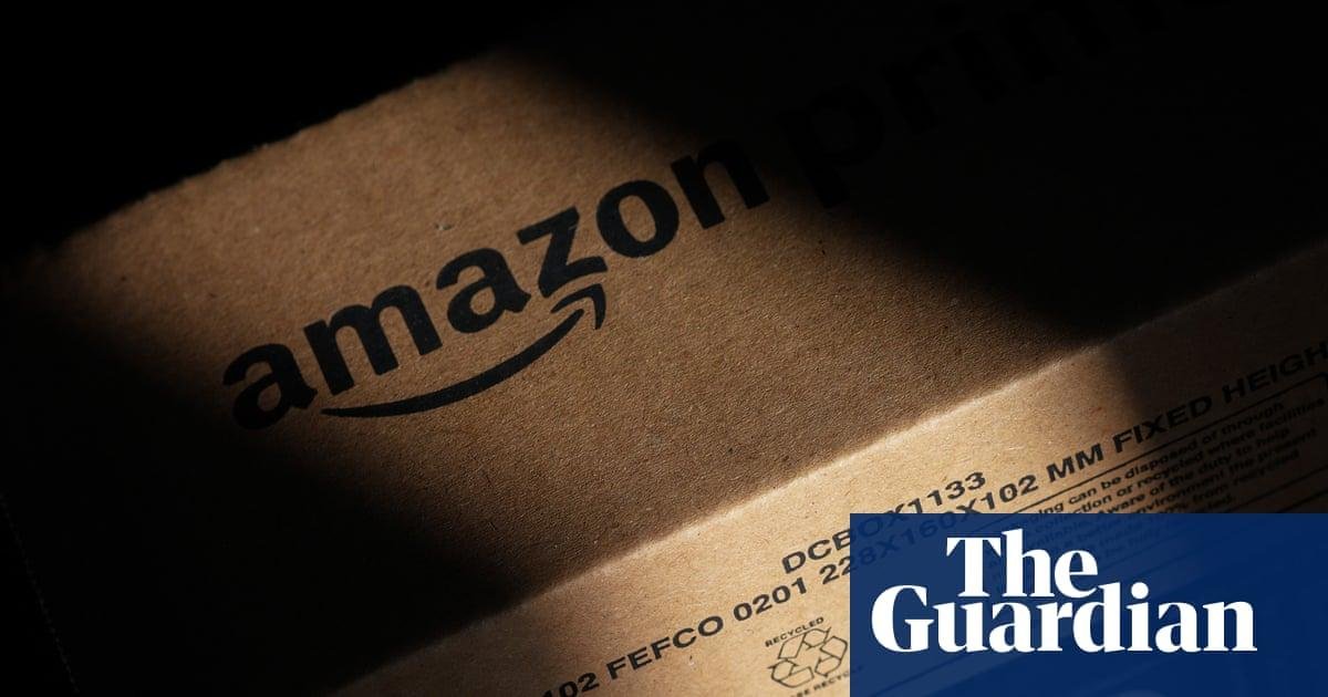 California toddler bitten by rattlesnake ‘hiding under’ Amazon package