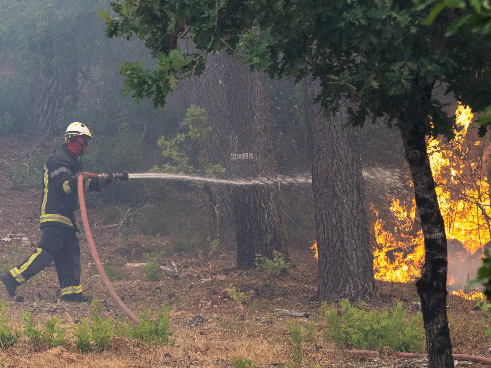 Wildfires in Spain and France force evacuation of more than 250,000 people