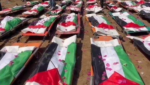 أكبر جنازة بحرب الإبادة.. حكاية مجزرة حي الصبرة ودفن 7000 فلسطيني تحت الأنقاض