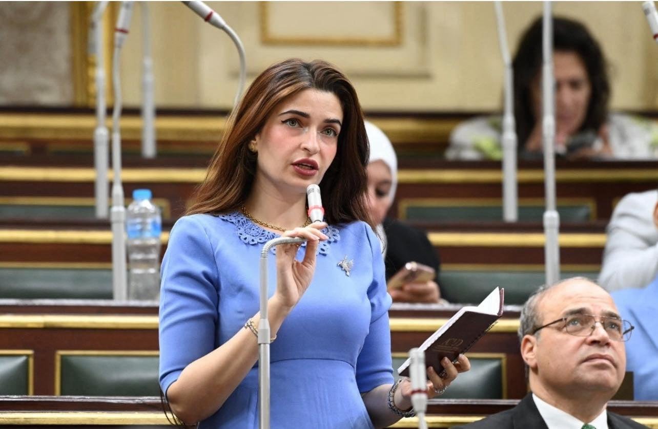 النائبة إيرين سعيد: نتابع توافر الأنسولين.. ولا بديل عن استيراد الأصناف التي ليس لها بديل محلي