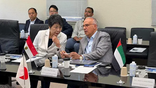 وزير الري يبحث مع وكالة الفضاء اليابانية دعم التنبؤ بالسيول والأمطار