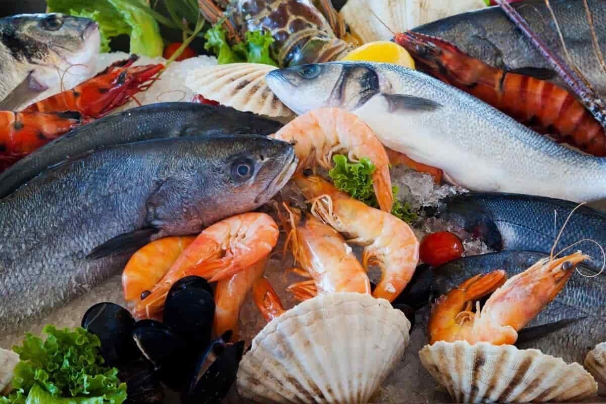 الاثنين 10 أغسطس  2026.. أسعار الأسماك بسوق العبور