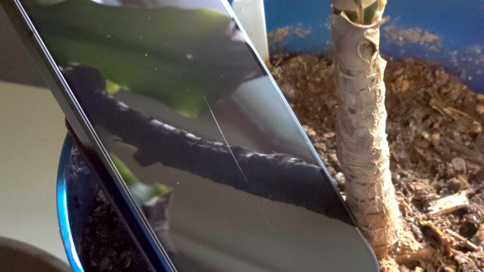 I spent years refusing screen protectors until one mysterious scratch changed everything
