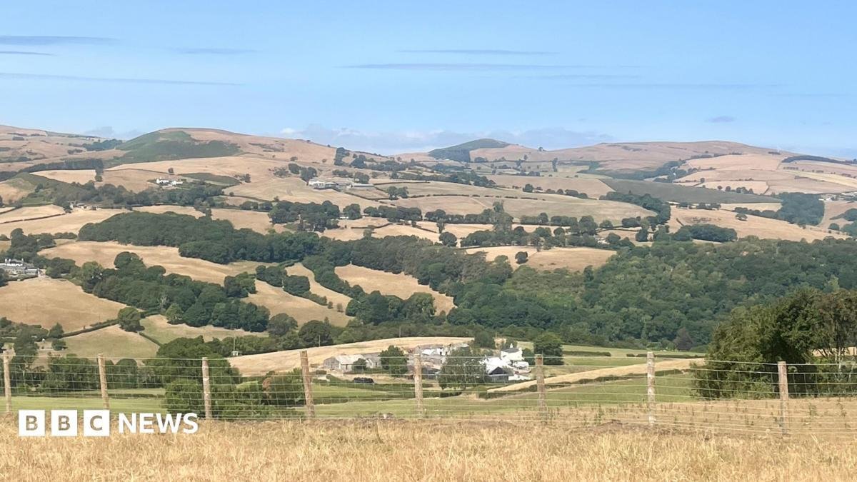 Wildfires and record dry conditions trigger drought in parts of Wales