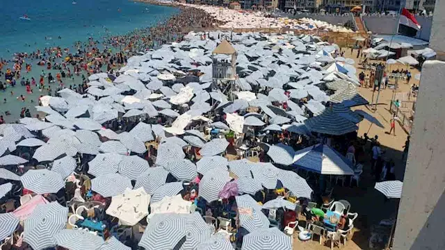 شيش وبوتاجازات وخمور.. أغرب مخالفات المصيفين بشواطئ الإسكندرية- صور